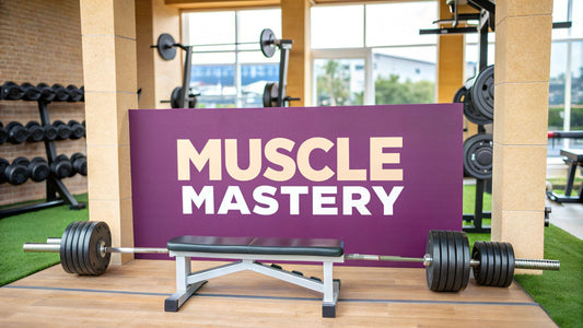 Effective Muscle Building Exercise Routines for All Levels