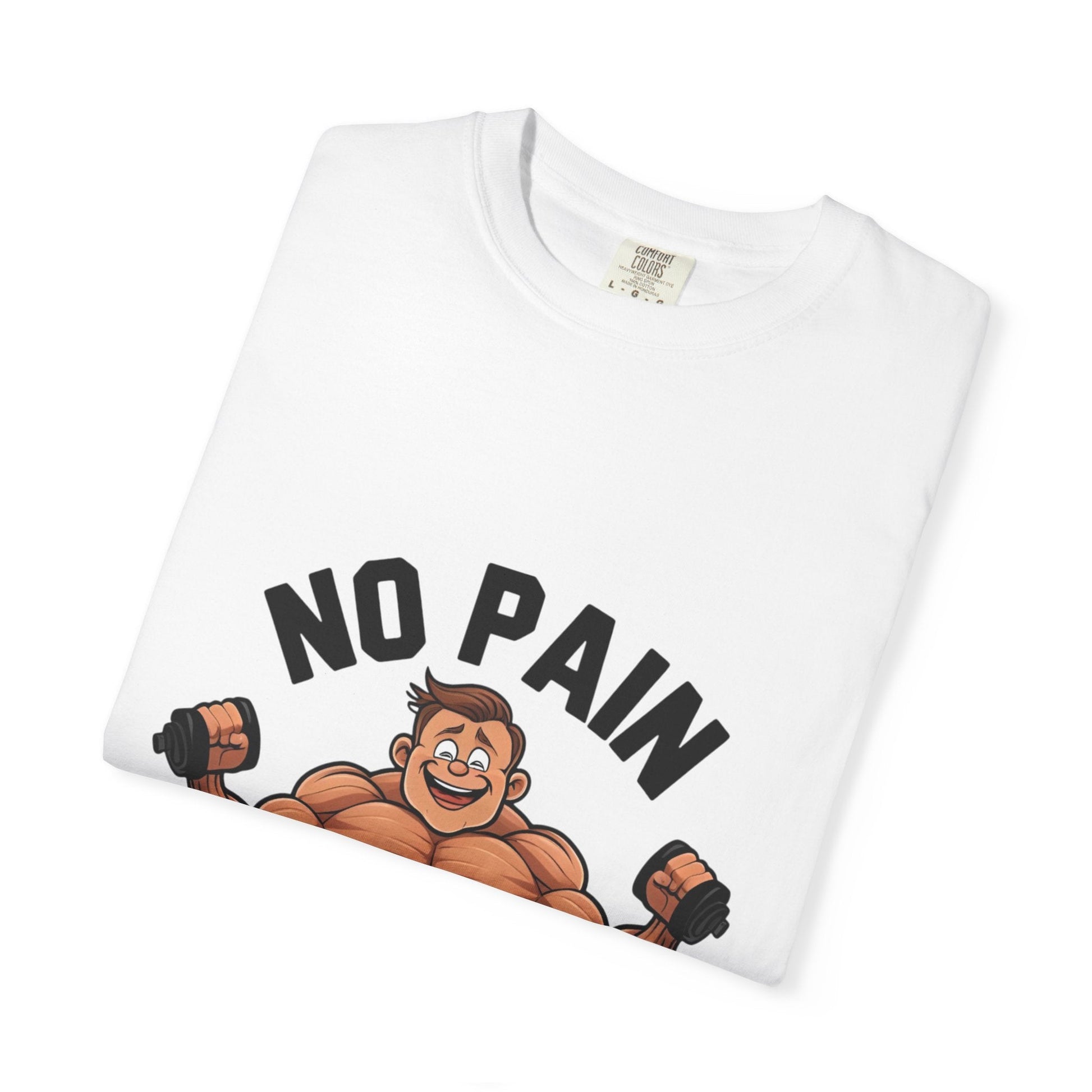 NO PAIN NO GAIN t-shirt Printify