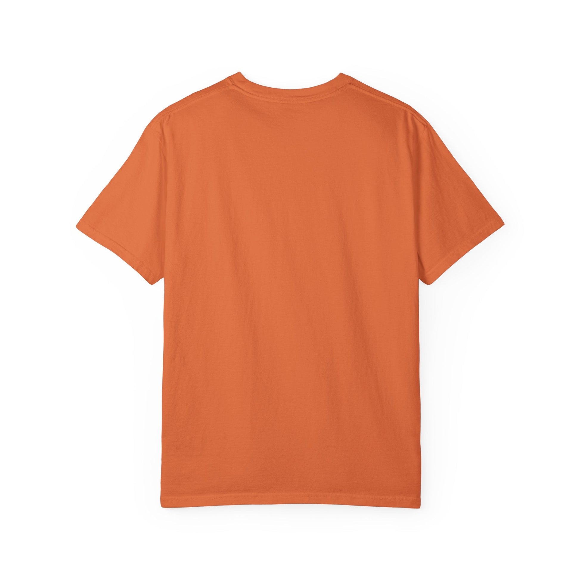 NO PAIN NO GAIN t-shirt Printify