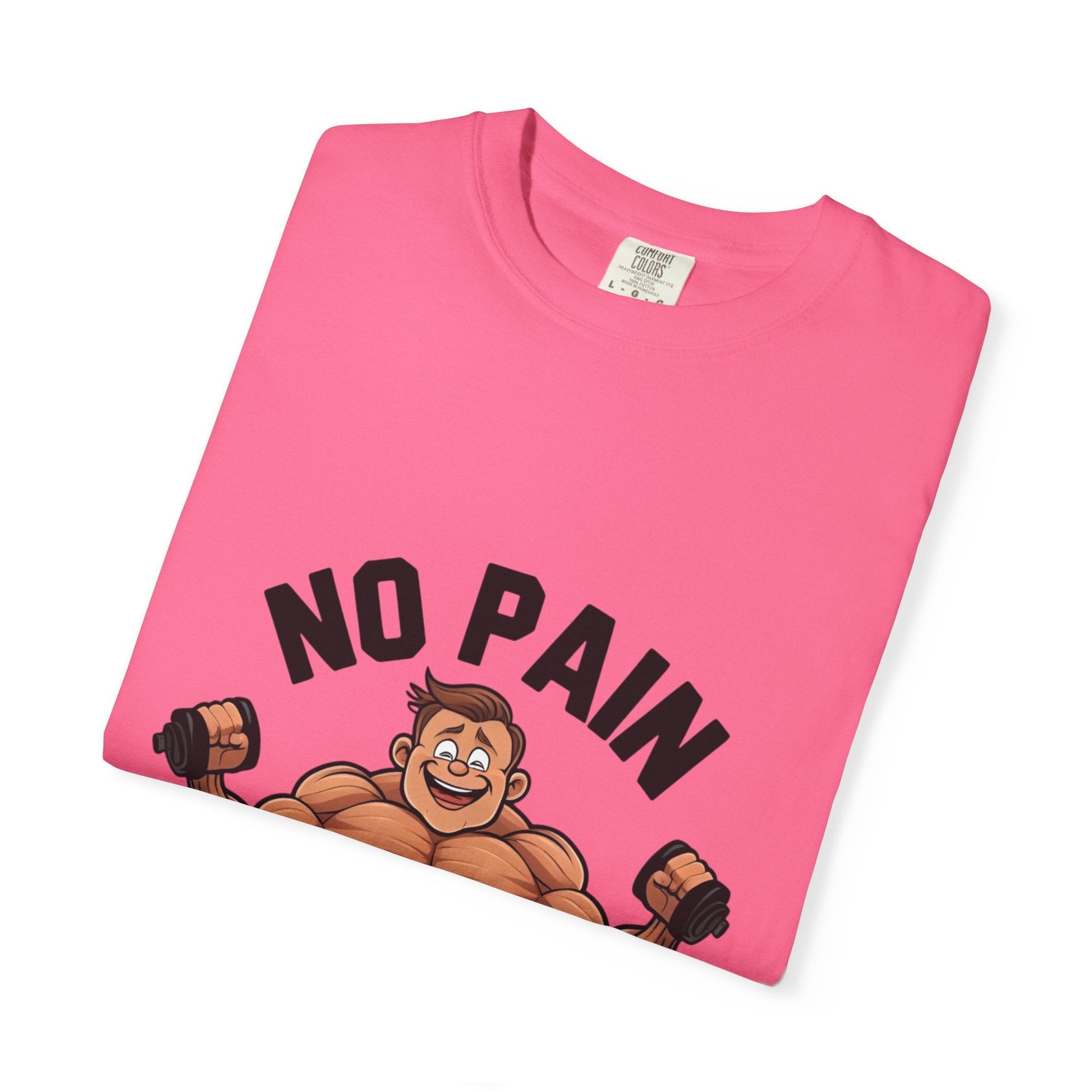 NO PAIN NO GAIN t-shirt Printify