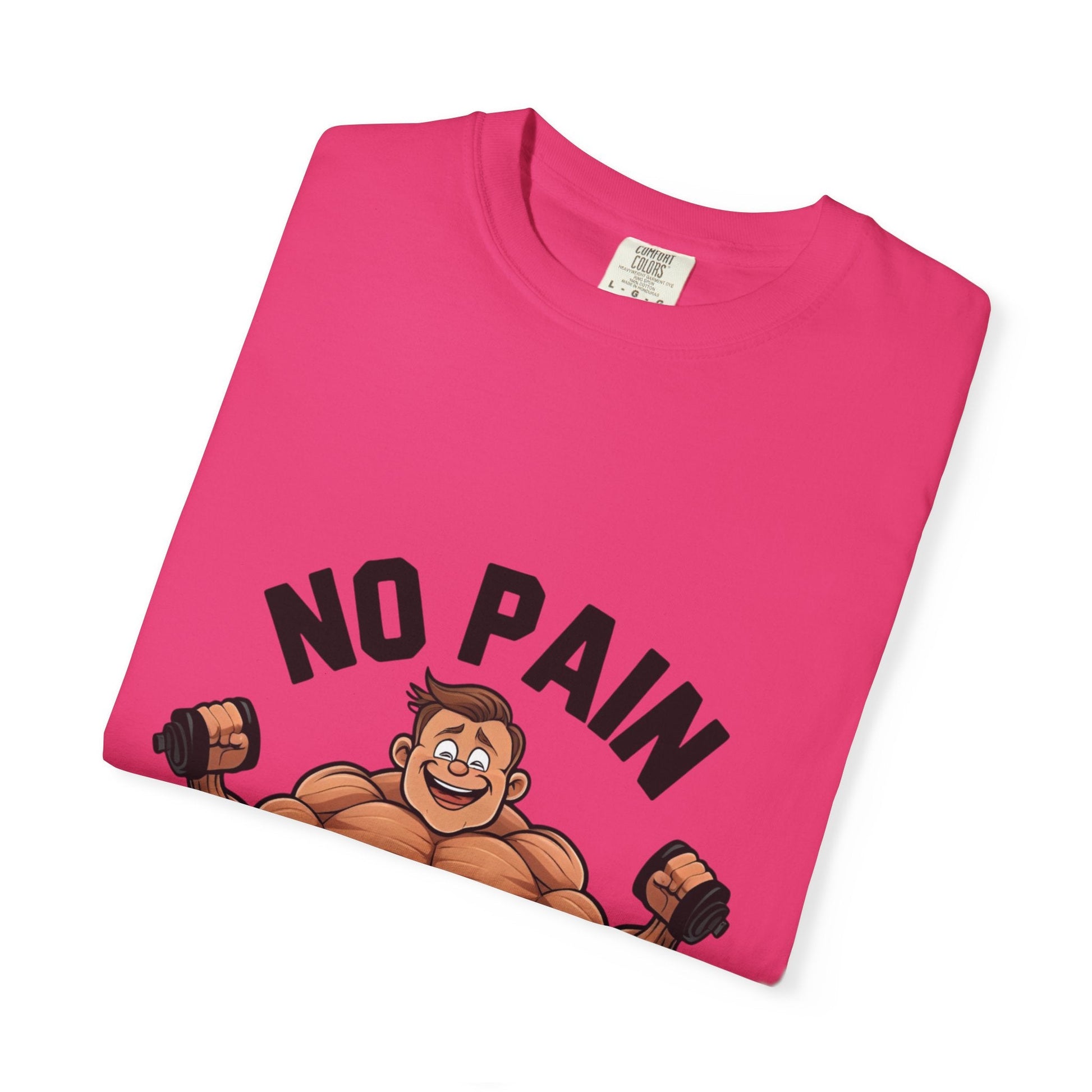 NO PAIN NO GAIN t-shirt Printify