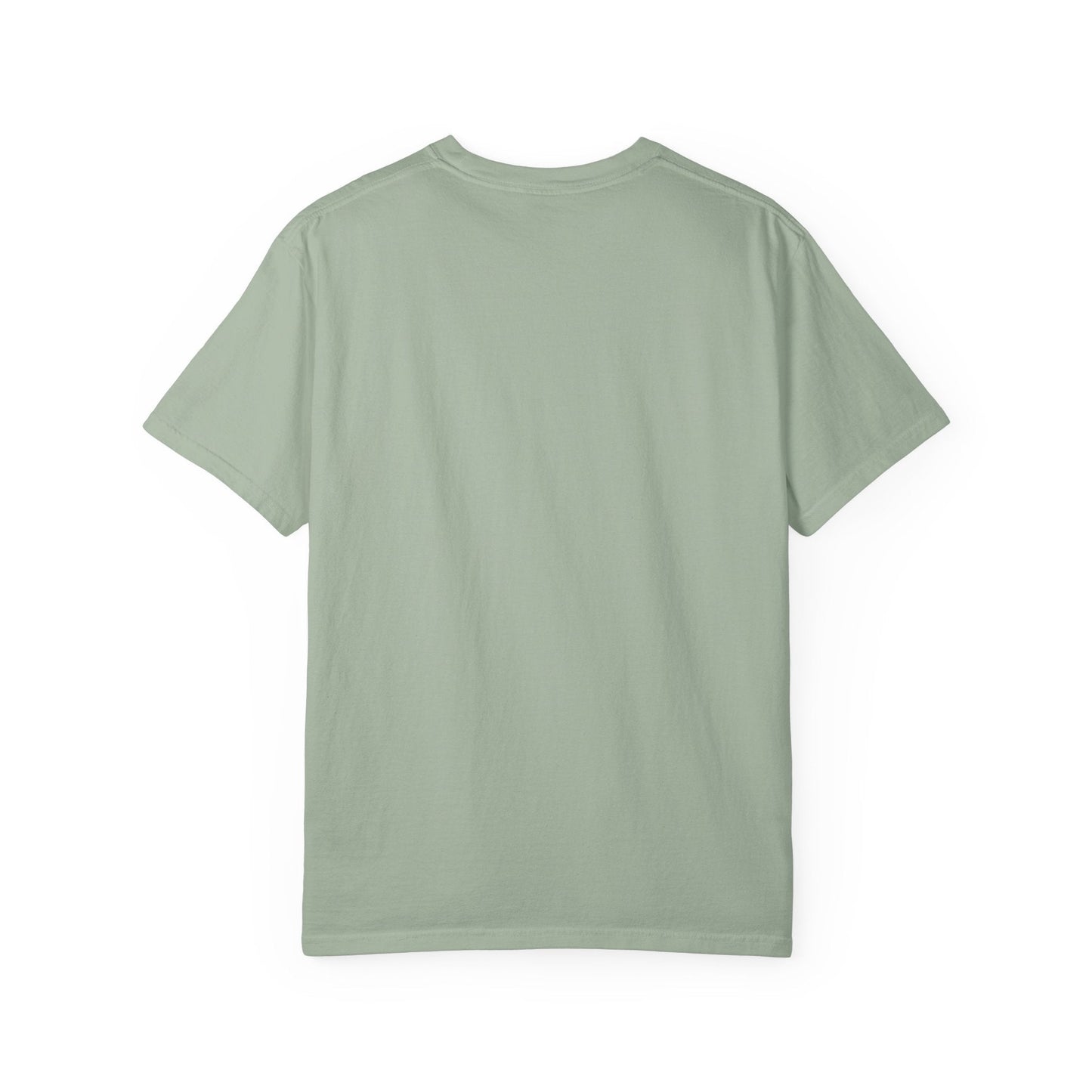 NO PAIN NO GAIN t-shirt Printify