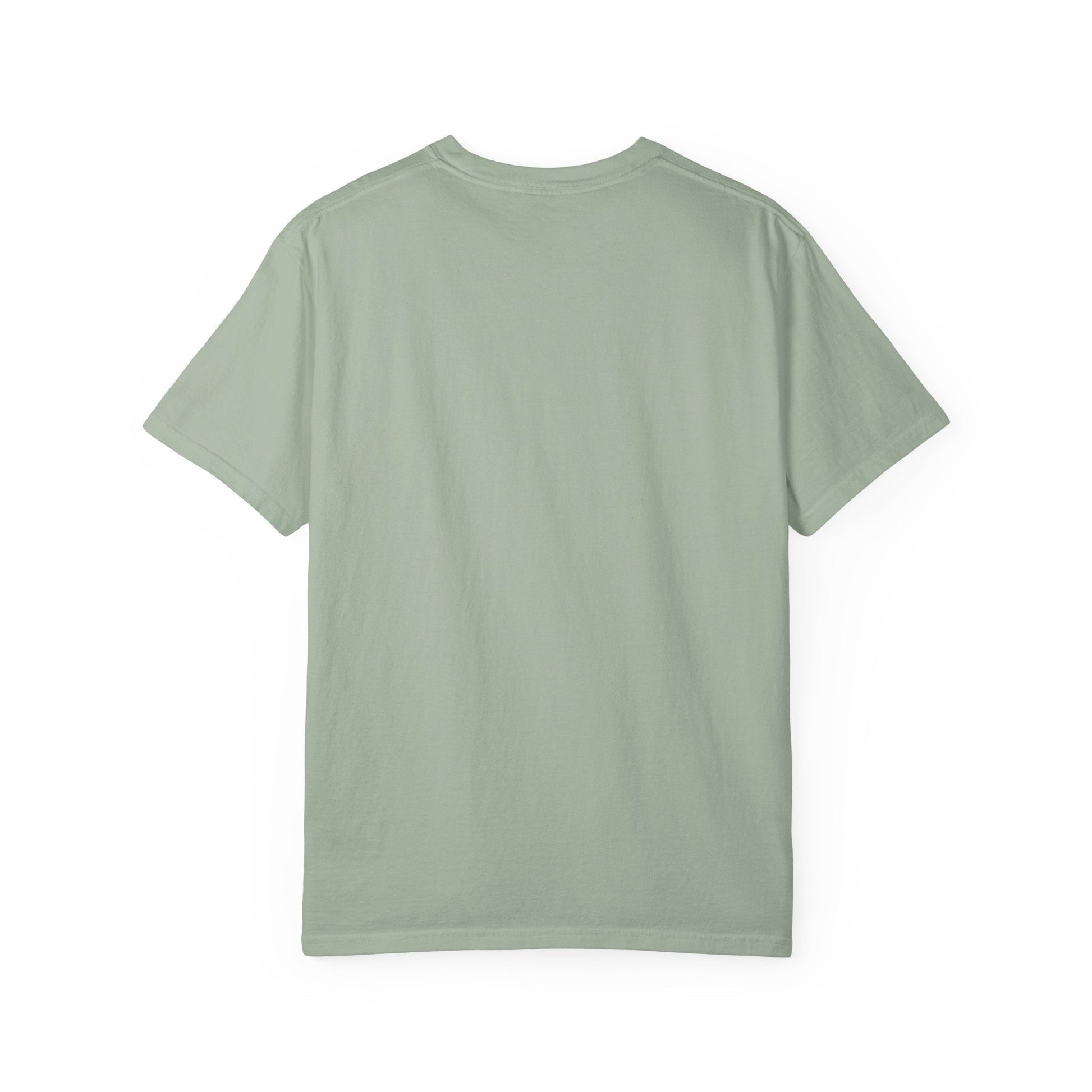 NO PAIN NO GAIN t-shirt Printify