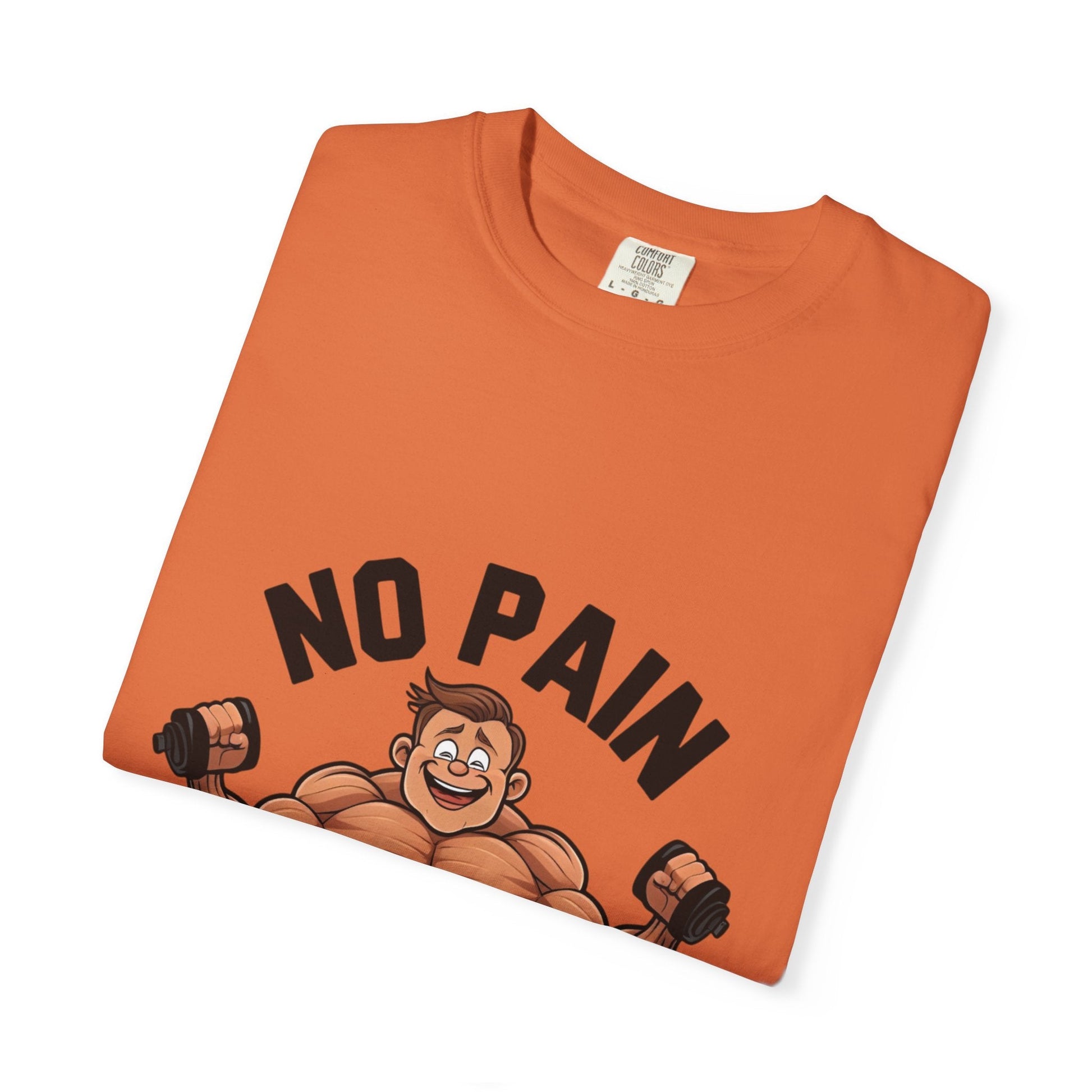 NO PAIN NO GAIN t-shirt Printify