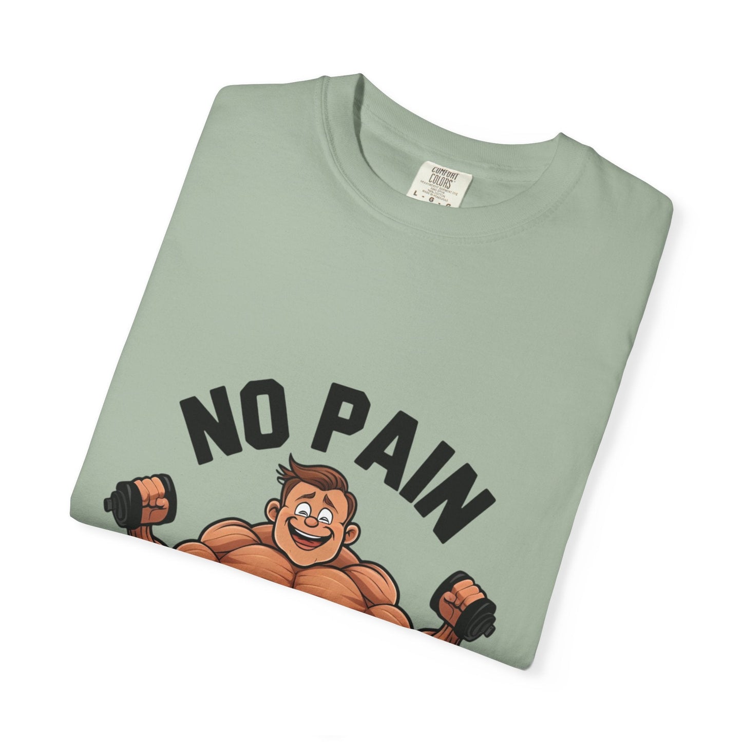 NO PAIN NO GAIN t-shirt Printify