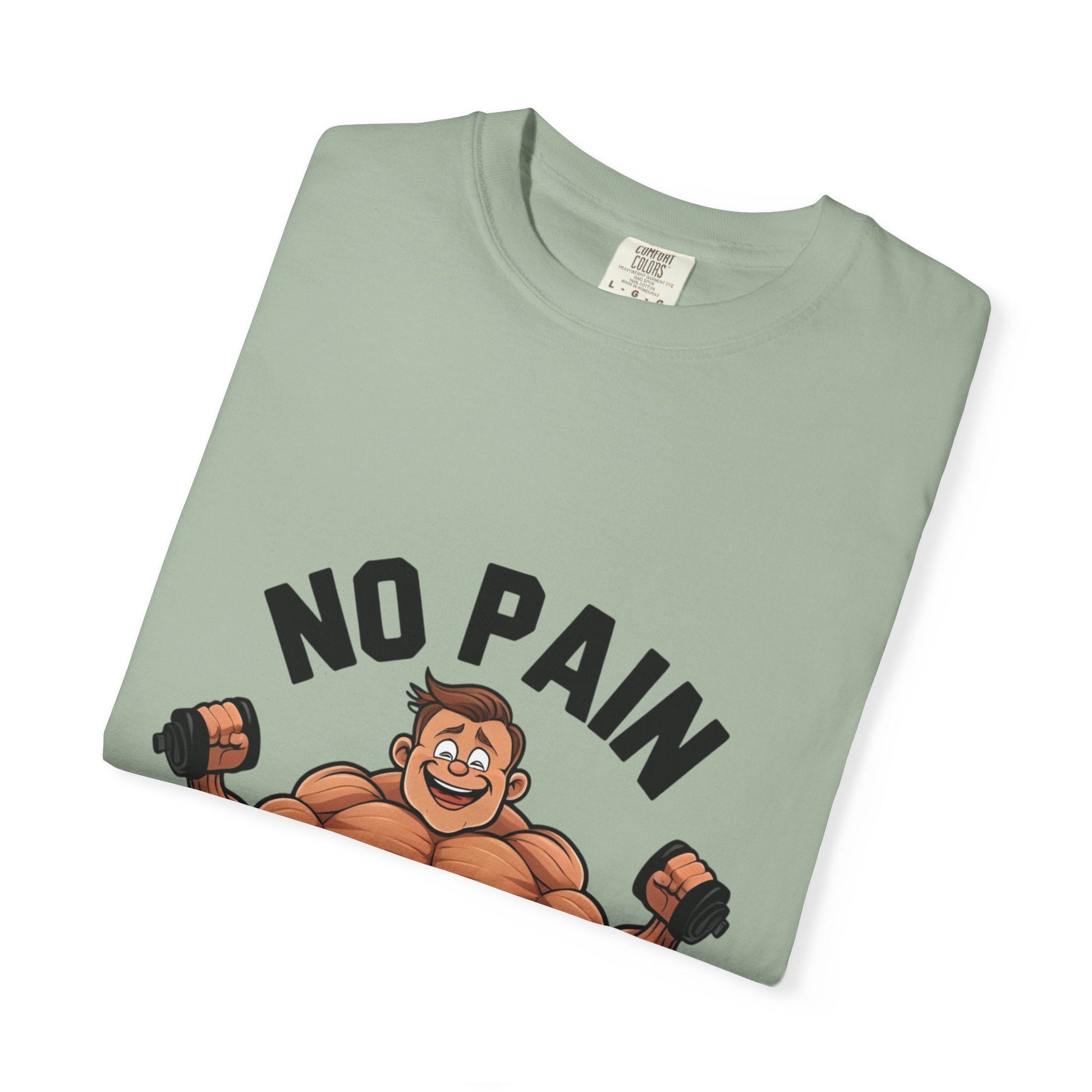 NO PAIN NO GAIN t-shirt Printify