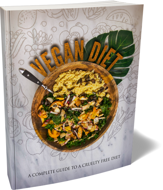 VEGAN DIET TRAINING Guide