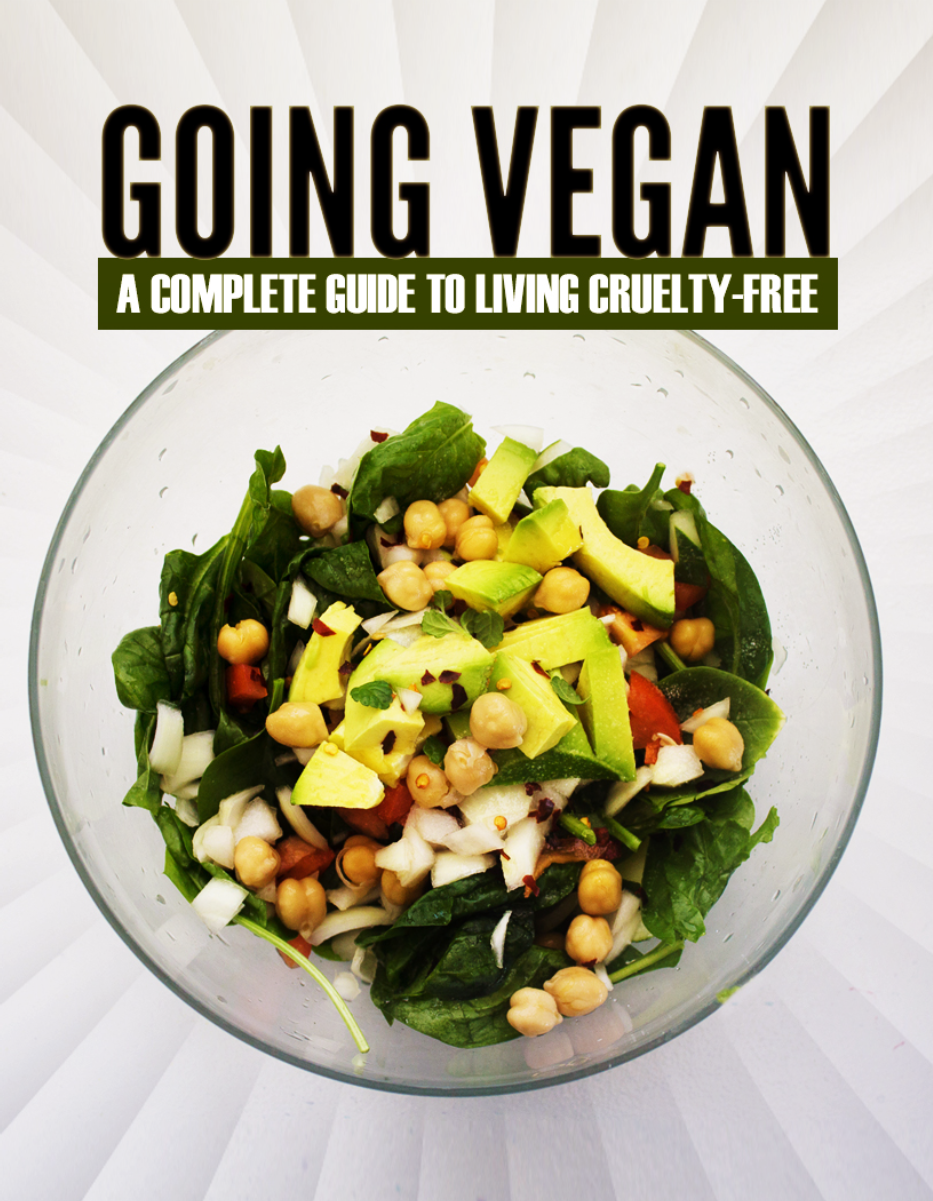 THE ULTIMATE VEGAN WARRIOR MASTERCLASS: Unlock Peak Performance & Mental Toughness: Diet and Exercise