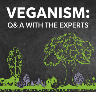 THE ULTIMATE VEGAN WARRIOR MASTERCLASS: Unlock Peak Performance & Mental Toughness: Diet and Exercise